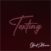 Texting (Radio Edit) artwork