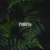 Purotu - Single