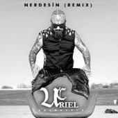 Nerdesin (Remix) artwork