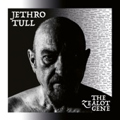 Jethro Tull - Mine Is the Mountain