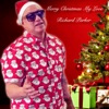 Merry Christmas My Love - Single