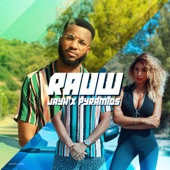 Rauw (feat. PYRAMIDS) artwork