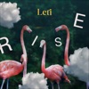 Rise - Single