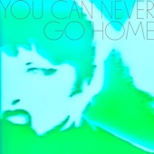 You Can Never Go Home artwork