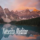 Necesito Meditar artwork