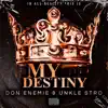 My Destiny (feat. Unkle Stro) - Single album lyrics, reviews, download