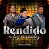 Rendido a tus encantos - Single