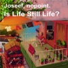 Is Life Still Life? - Single