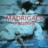 Madrigals of Madness artwork
