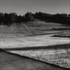 County 30 - Single