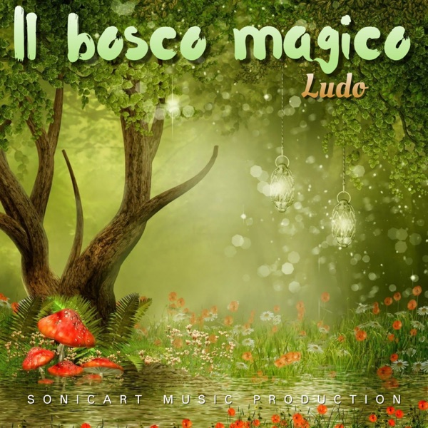 Il bosco magico