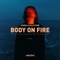 Body on Fire (Extended) artwork