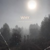 Why - Single