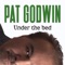 Balladeer with ADD - Pat Godwin lyrics