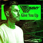Give You Up artwork