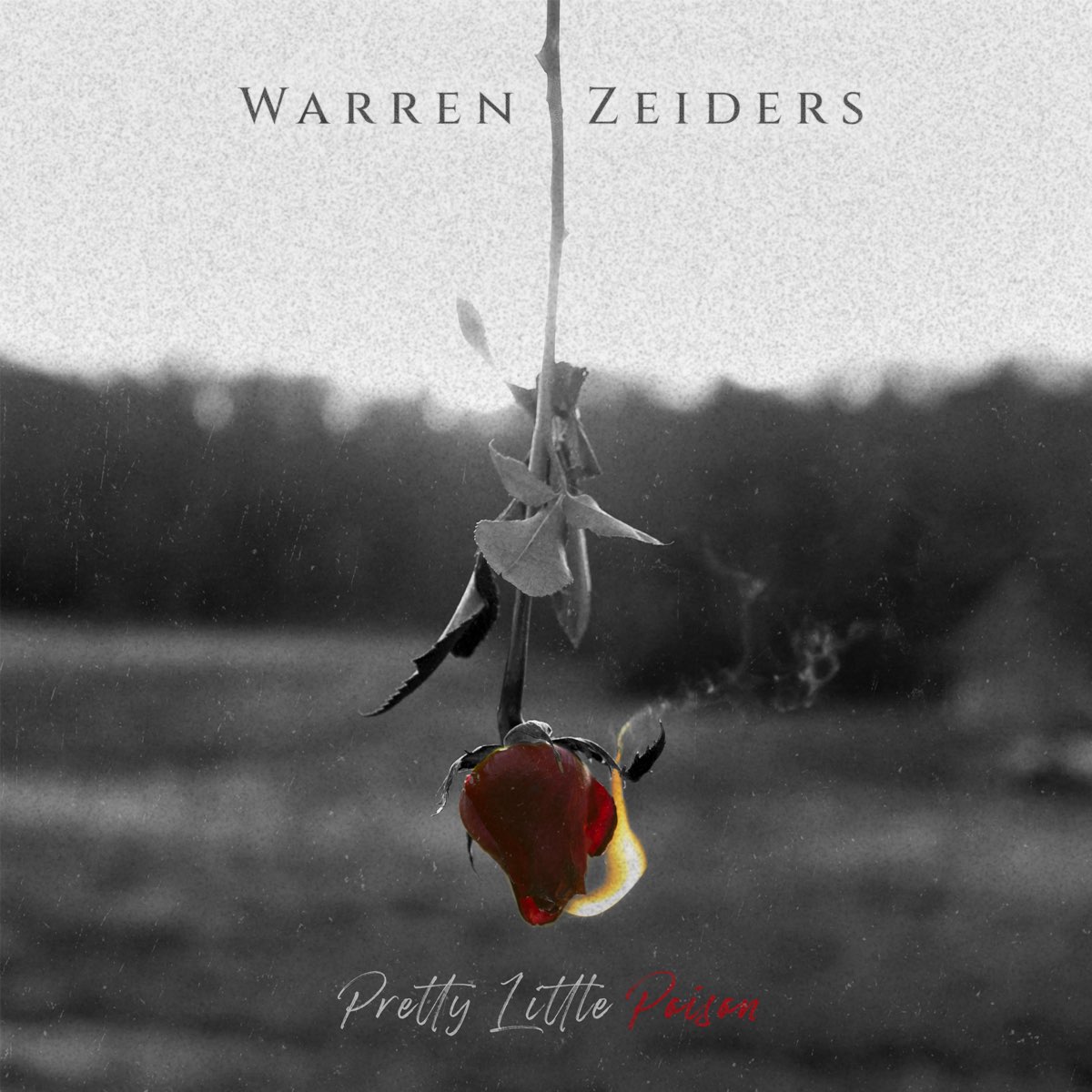 ‎Pretty Little Poison (Piano Version) - Single by Warren Zeiders on ...