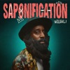 SAPONIFICATION - EP
