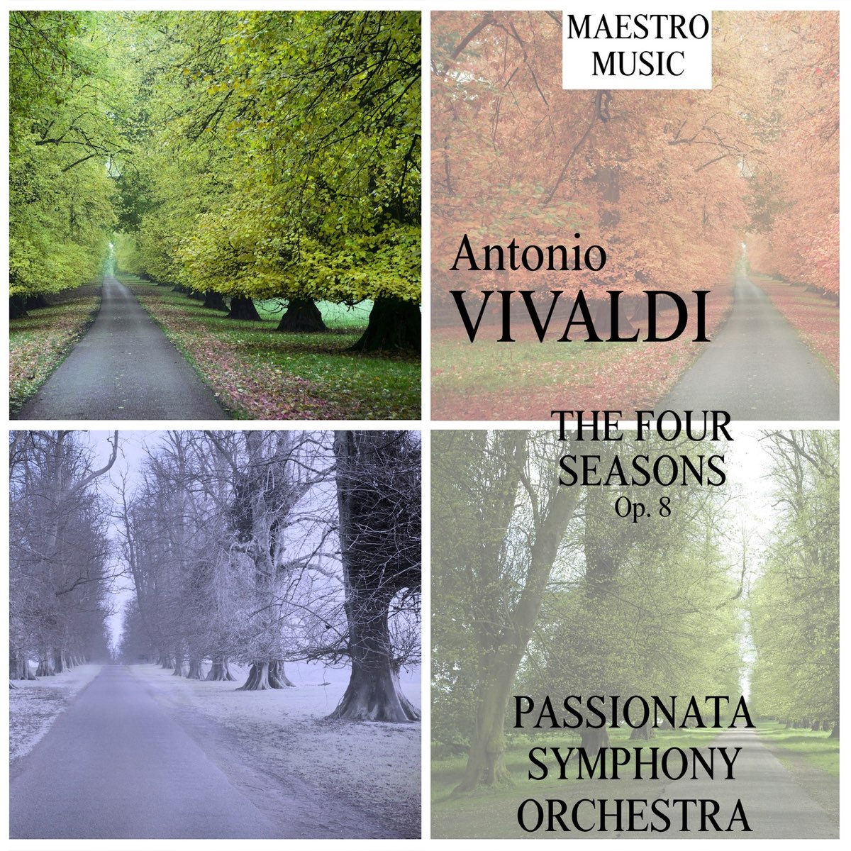 The four seasons violin. Вивальди времена года картинки.