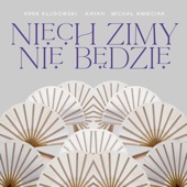 Niech zimy nie będzie artwork