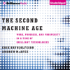 The Second Machine Age: Work, Progress, and Prosperity in a Time of Brilliant Technologies (Unabridged) - Erik Brynjolfsson & Andrew McAfee