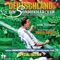 Alles auf Anfang - Marcel Barsotti lyrics