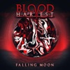 Falling Moon - EP