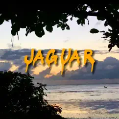 Jaguar - Single by L1L L1M album reviews, ratings, credits