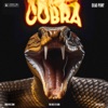 COBRA - Single