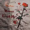 Wanna Forget Me - Single album lyrics, reviews, download