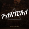 Pantera - Single