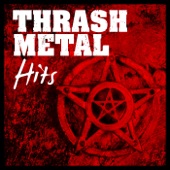 Thrash Metal Hits artwork