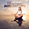 111 Anti Stress Meditation: Zen Relaxation, Time with Positive Songs, Mindfulness Meditation, Yoga Poses, Anxiety Free