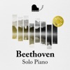 Beethoven - Solo Piano artwork