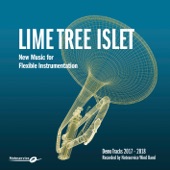 Lime Tree Islet - New Music for Flexible Instrumentation - Demo Tracks 2017-2018 artwork