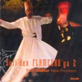 Sufi'den Flamenko'ya 2 artwork