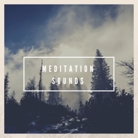 Meditation Music - Meditation Music artwork