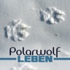 Leben - Single