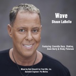 Shaun Labelle - Wave (feat. Everette Harp, Stokley, Ricky Peterson & Dave Barry)