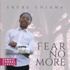 Fear No More artwork