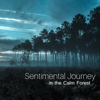 Sentimental Journey in the Calm Forest: Contemporary Music for Relaxation, New Age Spa Sounds, Anti Stress Nature Scenes of Australia - Nature Collection