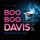 Boo Boo Davis-If You Ain't Never Had the Blues