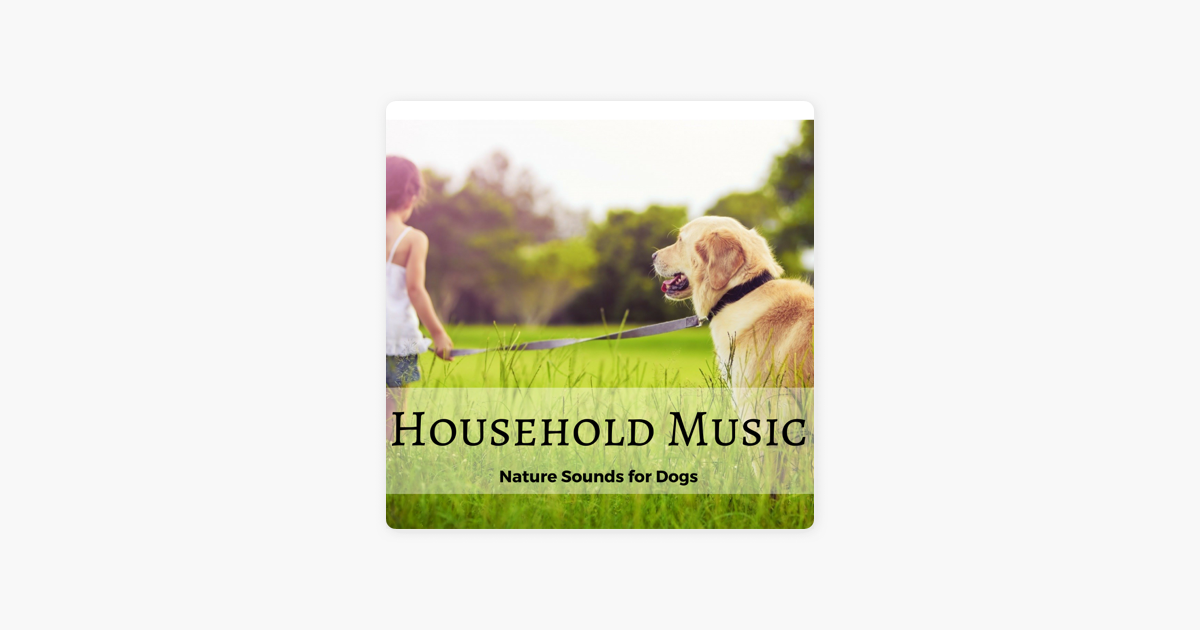 nature sounds for dogs