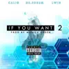If You Want 2 (feat. Dr. EdRum & LWin) - Single album lyrics, reviews, download