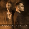 Keista Spalva - Single