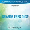 Grande eres Dios (Performance Trax) - EP, 2017