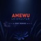 Rückblick (feat. Chefket) [Remix] - Amewu lyrics