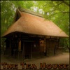 The Tea House, 2017