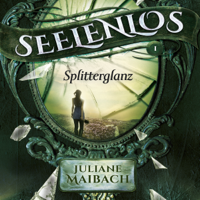 Juliane Maibach - Splitterglanz: Seelenlos 1 artwork