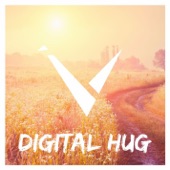 Digital Hug artwork
