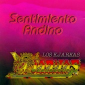 Sentimiento Andino (Folclórica) artwork